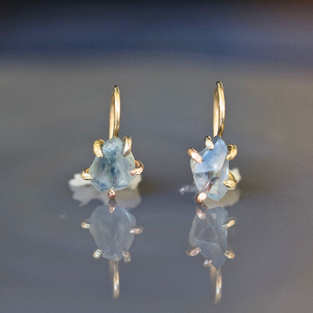 Montana Blue Sapphire Hook Earrings